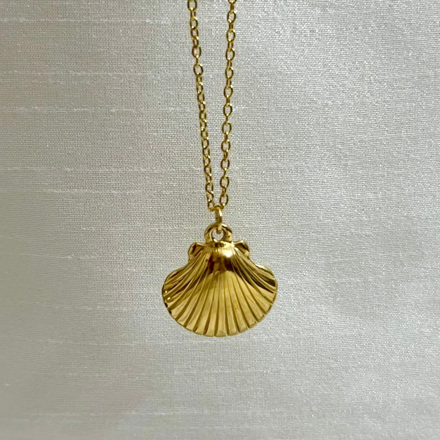 Shell Pendant