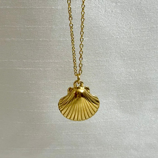 Shell Pendant